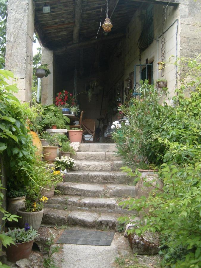 Moulin Du Pont D'Alzon Bed and Breakfast Uzès Exteriör bild